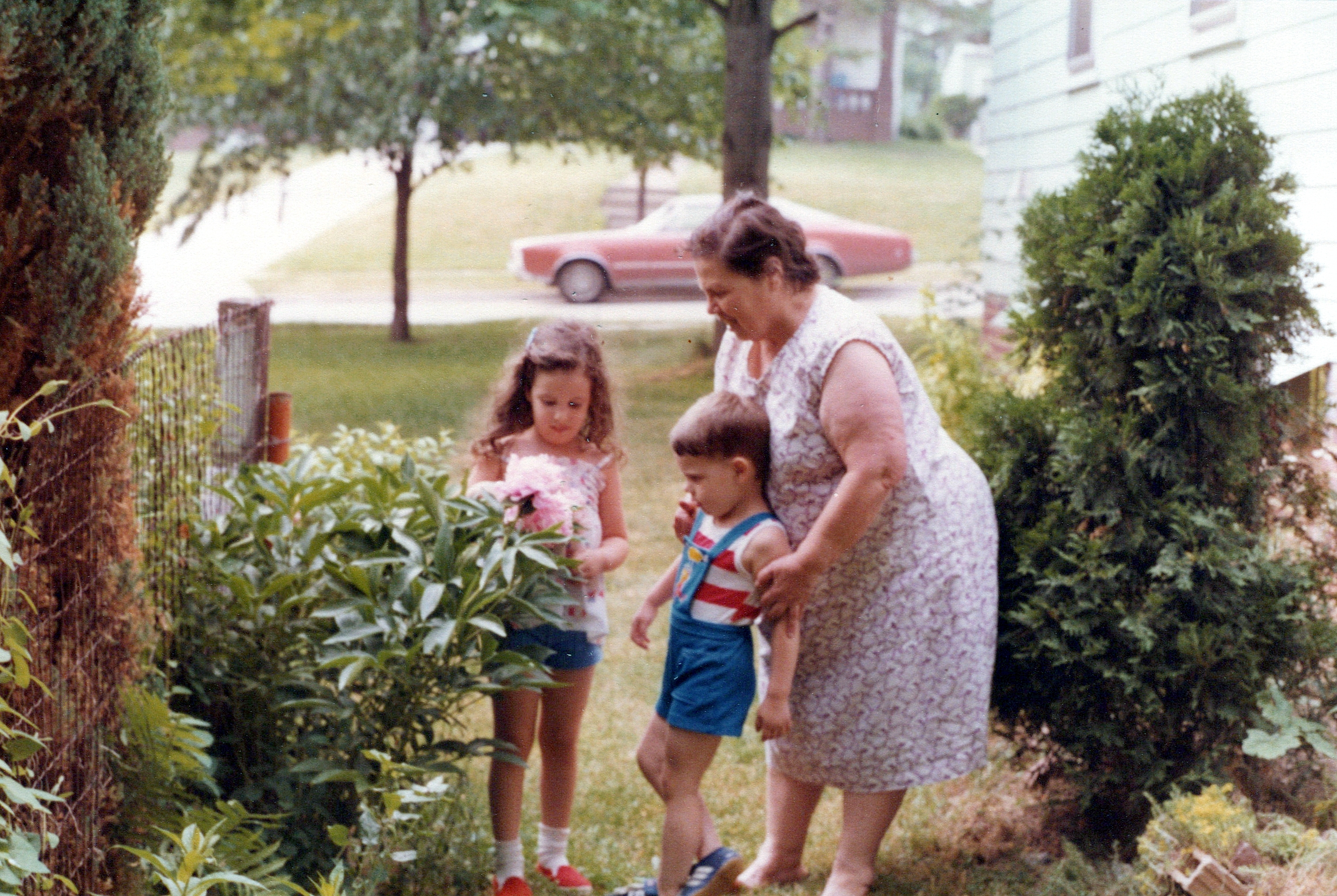 Restored family garden photo