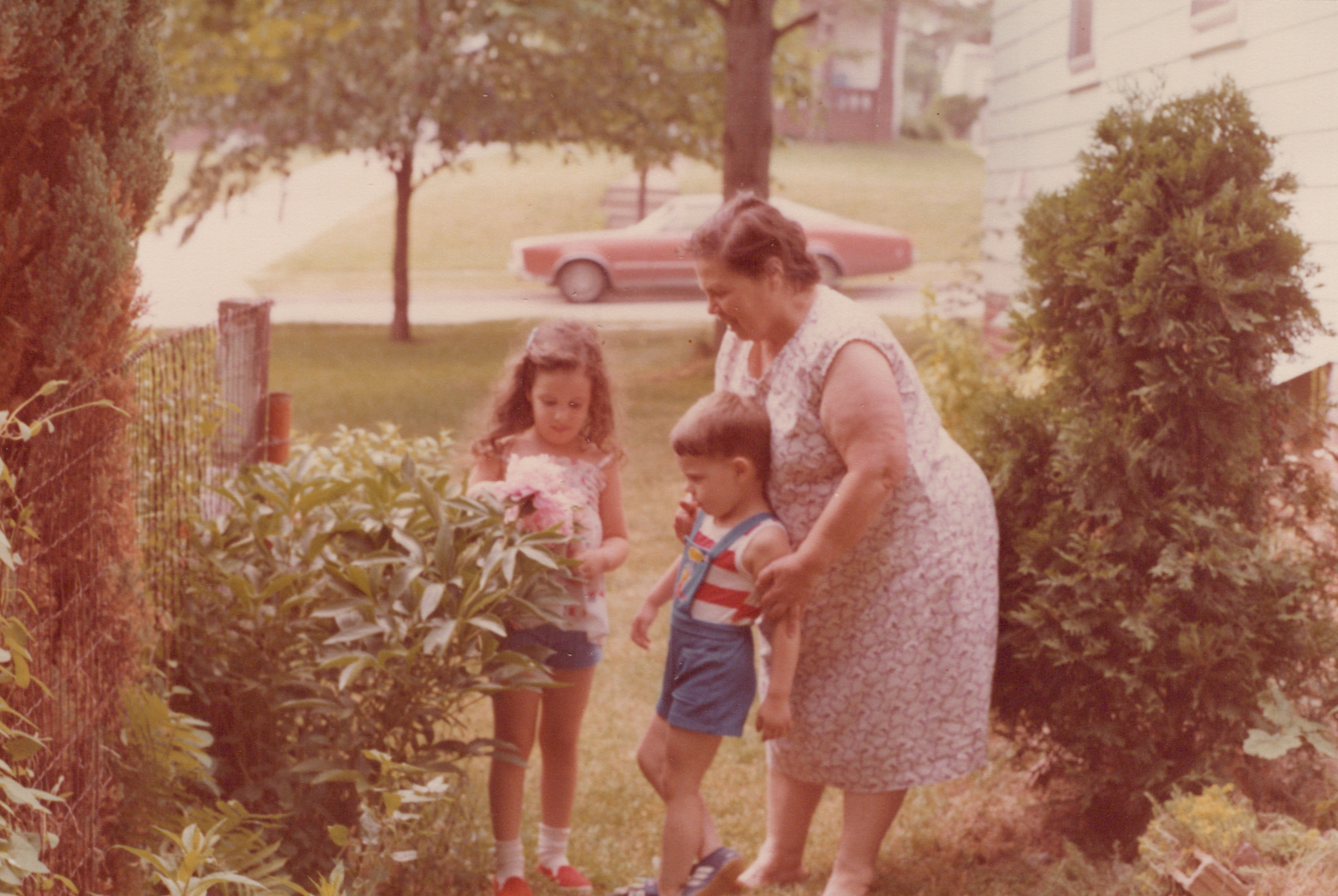 Original family garden photo